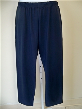 Copper Canyon Navy Pull on Pant